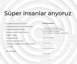 Hızla Büyüyen Şirket