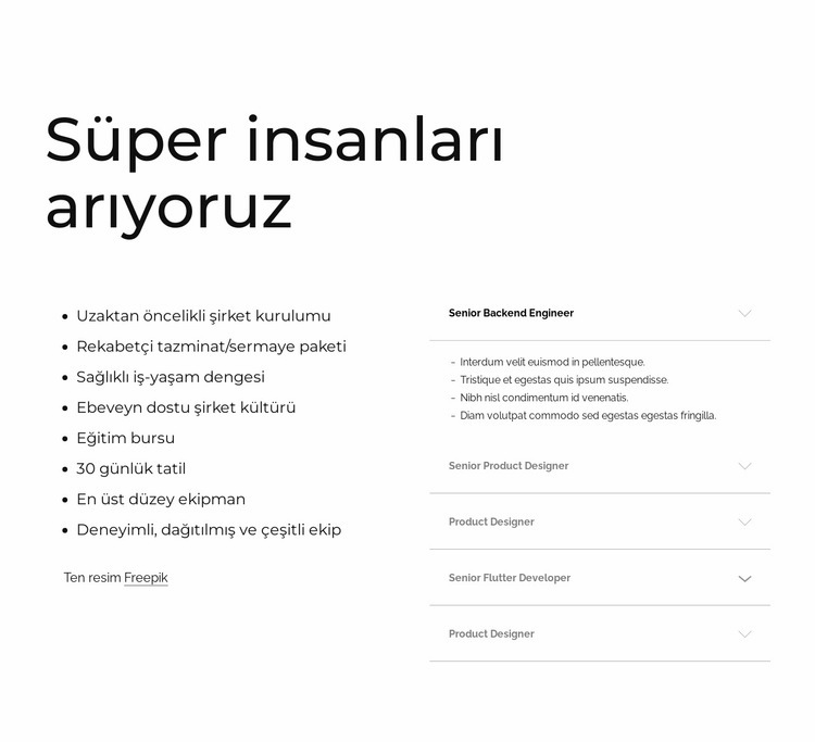 Hızla büyüyen şirket Web Sitesi Oluşturucu Şablonları