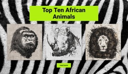 Kresby Afrických Zvířat - HTML Site Builder