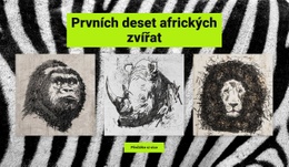 Kresby Afrických Zvířat – Vytvořte Úžasnou Šablonu