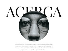 Sobre Nuestro Artista Principal - Diseño De Sitios Web Gratuito