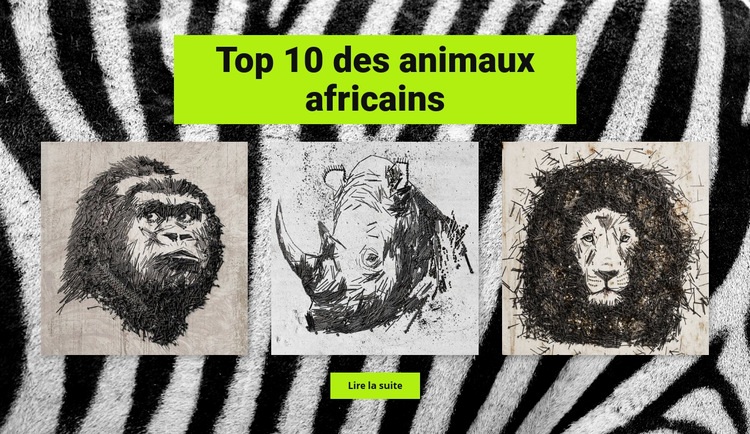 Dessins animaux africains Conception de site Web