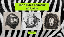 Dessins Animaux Africains – Créez Un Modèle Étonnant