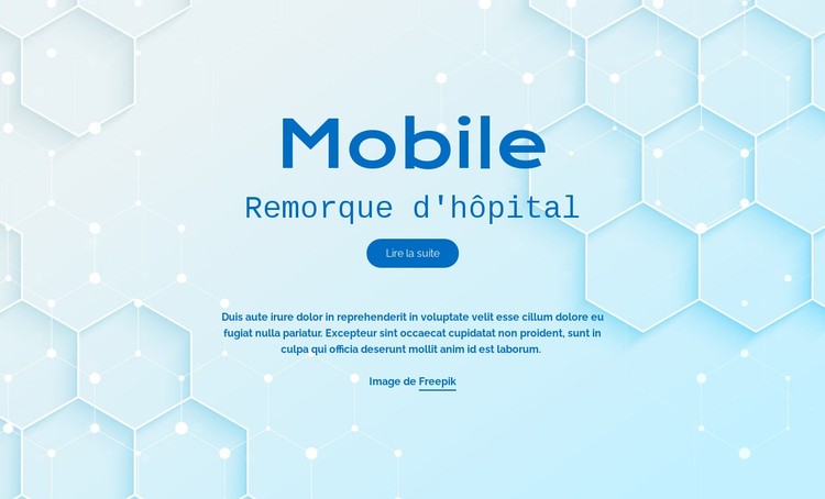 Services hospitaliers de Mobite Modèle CSS