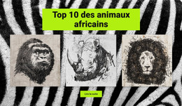 Dessins Animaux Africains - Modèle De Page HTML