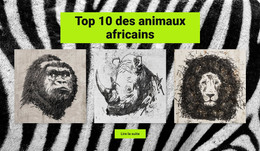 Dessins Animaux Africains - Modèle HTML Réactif