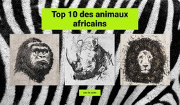 Dessins Animaux Africains – Inspiration De Modèle D'Une Page