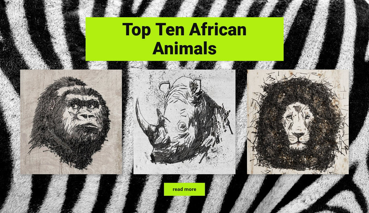 Drawings African animals Homepage Design