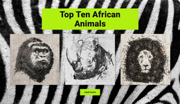 Drawings African Animals - HTML Site Builder
