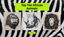Drawings African Animals - Responsive HTML5 Template