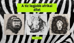 Rajzok Afrikai Állatok - HTML Oldalsablon