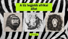 Rajzok Afrikai Állatok – Csodálatos Sablon Létrehozása