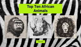 Drawings African Animals - Free Joomla Website Template