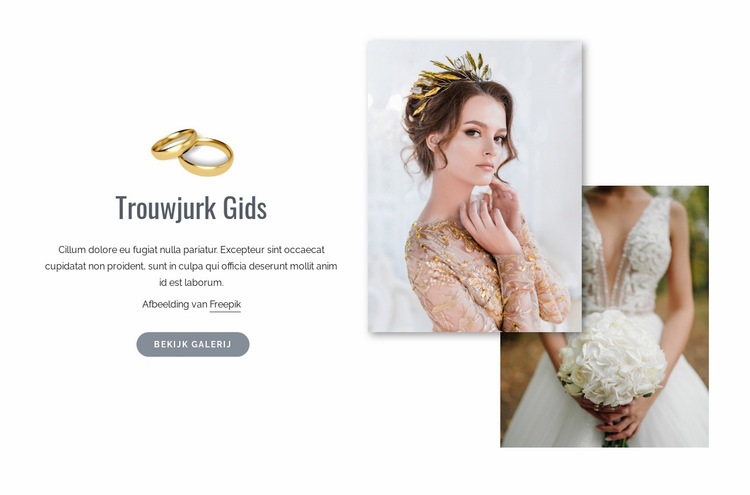 Trouwjurk Winkelen Website mockup