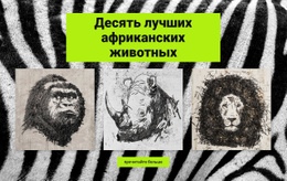 Рисунки Африканских Животных – Адаптивный Шаблон HTML5