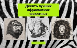 Рисунки Африканских Животных – Целевая Страница