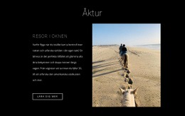 Hästresor - Onlinemallar