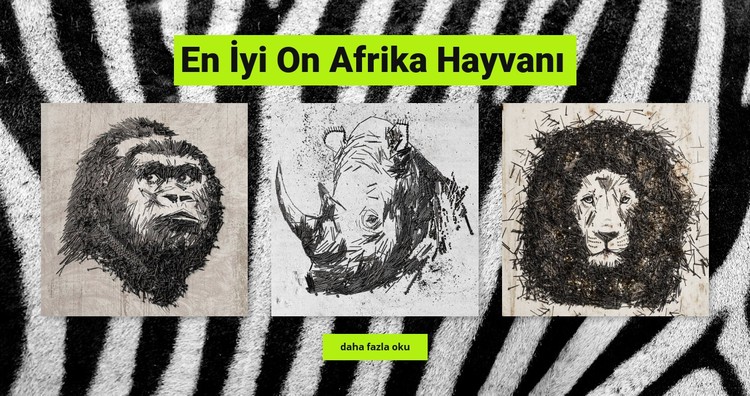 Afrika hayvanları CSS Şablonu