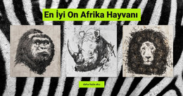 Afrika Hayvanları - HTML Sayfası Şablonu