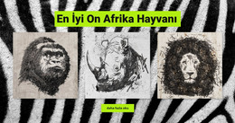 Afrika Hayvanları - Duyarlı HTML Şablonu