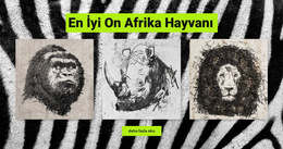 Afrika Hayvanları - Açılış Sayfası