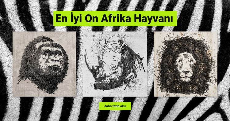 Afrika hayvanları Web Sitesi Şablonu