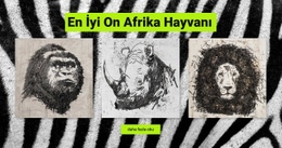 Afrika Hayvanları - Özelleştirilebilir Profesyonel Tasarım