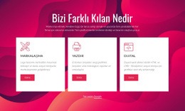 Markalaşma Ve Dijital Yaratıcı Stüdyo - Çok Amaçlı Web Tasarımı