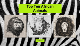 Drawings African Animals - Customizable Professional Design