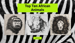 Drawings African Animals - Responsive WordPress Theme