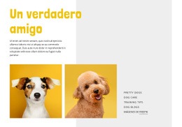 Página De Inicio Del Sitio Web Para Conviértete En Un Entrenador De Perros