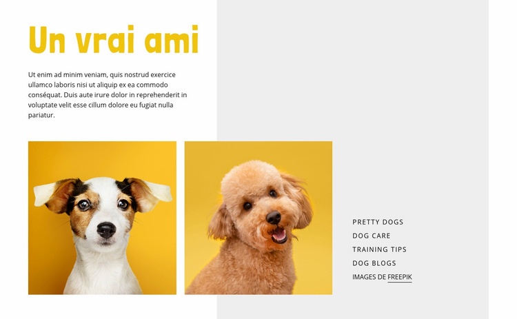 Devenir dresseur de chiens Créateur de site Web HTML