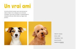 Devenir Dresseur De Chiens – Créez Un Modèle Étonnant