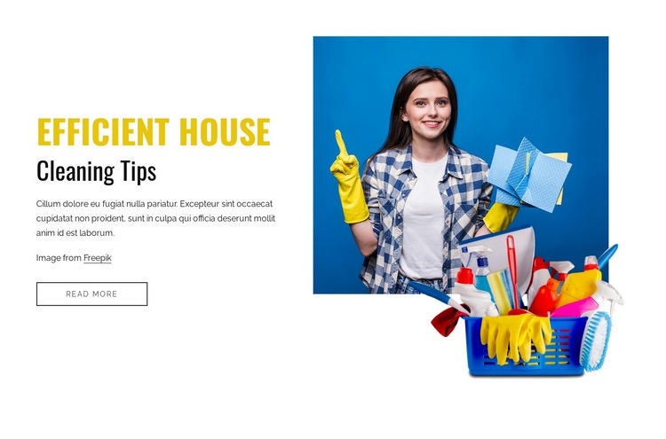 Efficient house cleaning tips Homepage Design