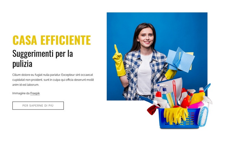 Consigli efficienti per la pulizia della casa Modelli di Website Builder