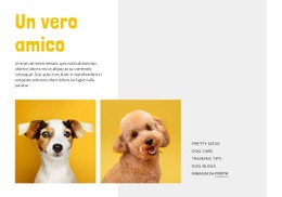 Diventa Un Addestratore Di Cani Modello CSS