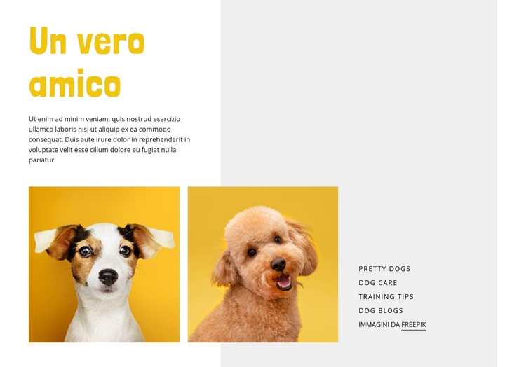 Diventa un addestratore di cani Modello CSS