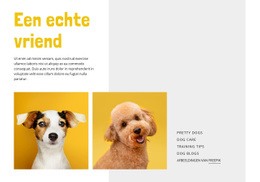 Website-Bestemmingspagina Voor Word Een Hondentrainer