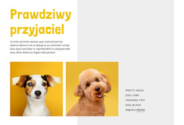 Darmowy Motyw WordPress Dla Zostań Trenerem Psów