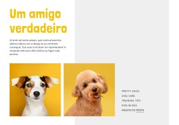 Menu CSS Para Torne-Se Um Treinador De Cães