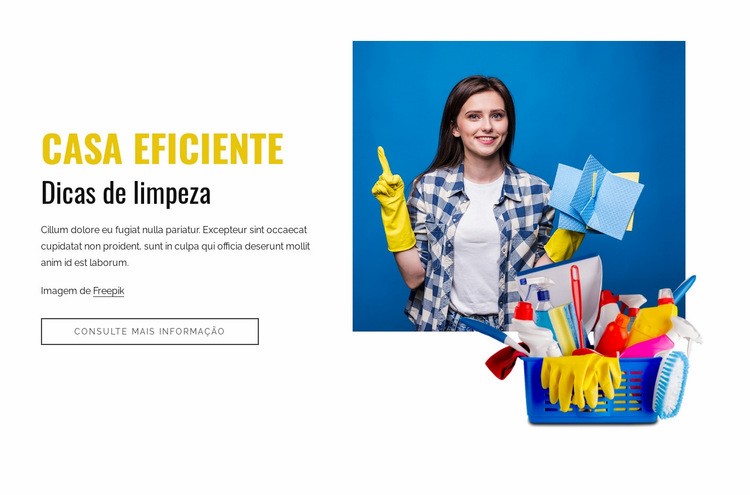 Dicas eficientes de limpeza doméstica Landing Page