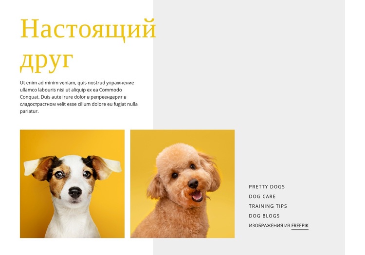 Станьте дрессировщиком собак Конструктор сайтов HTML