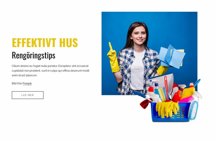 Effektiva husstädningstips Hemsidedesign