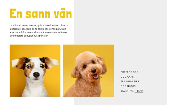 Bli hundtränare HTML-mall