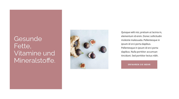 Die Vorteile von Feigen Website-Vorlage