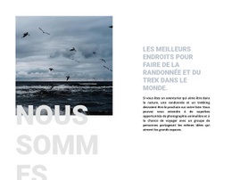 Superbe Conception De Site Web Pour Expéditions Marines