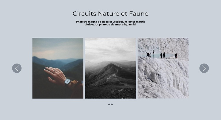 Curseur paysage Conception de site Web