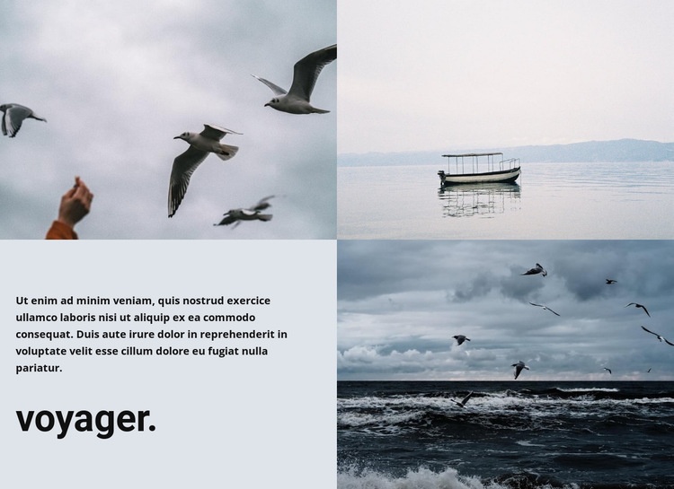 Voyager sur les mers Modèle d'une page