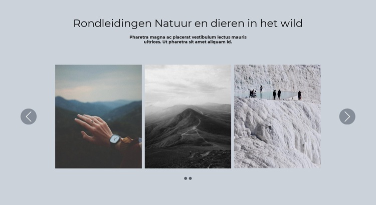 Liggende schuifregelaar Website ontwerp