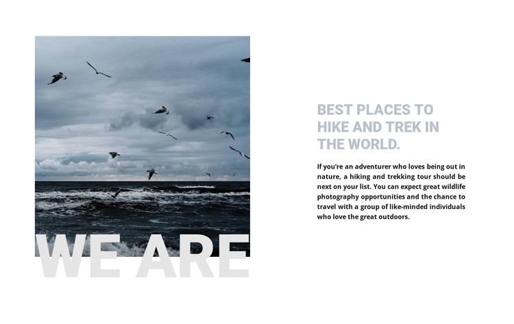 Marine expeditions Squarespace Template Alternative